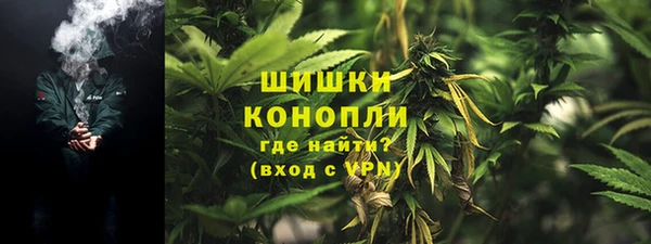 экстази Богданович